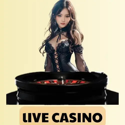 56a40937 ea41 455e ac53 c0ad02f91d7e web